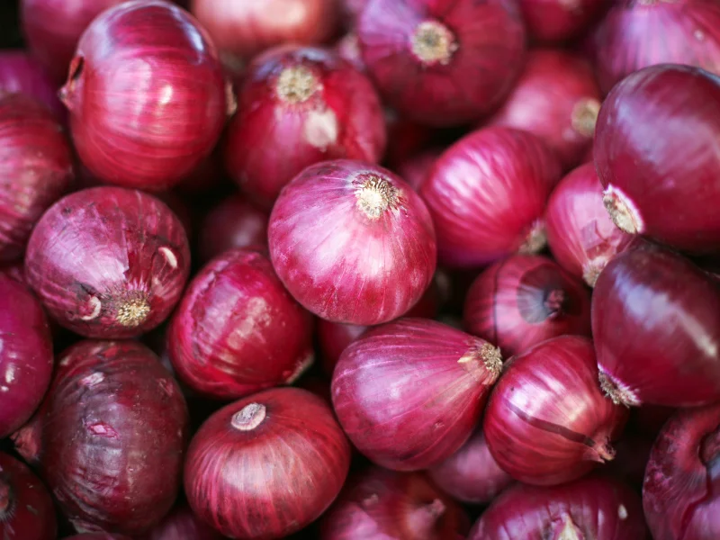 Firm, well-cured export-quality onions in mesh bags ready for regional and Gulf markets