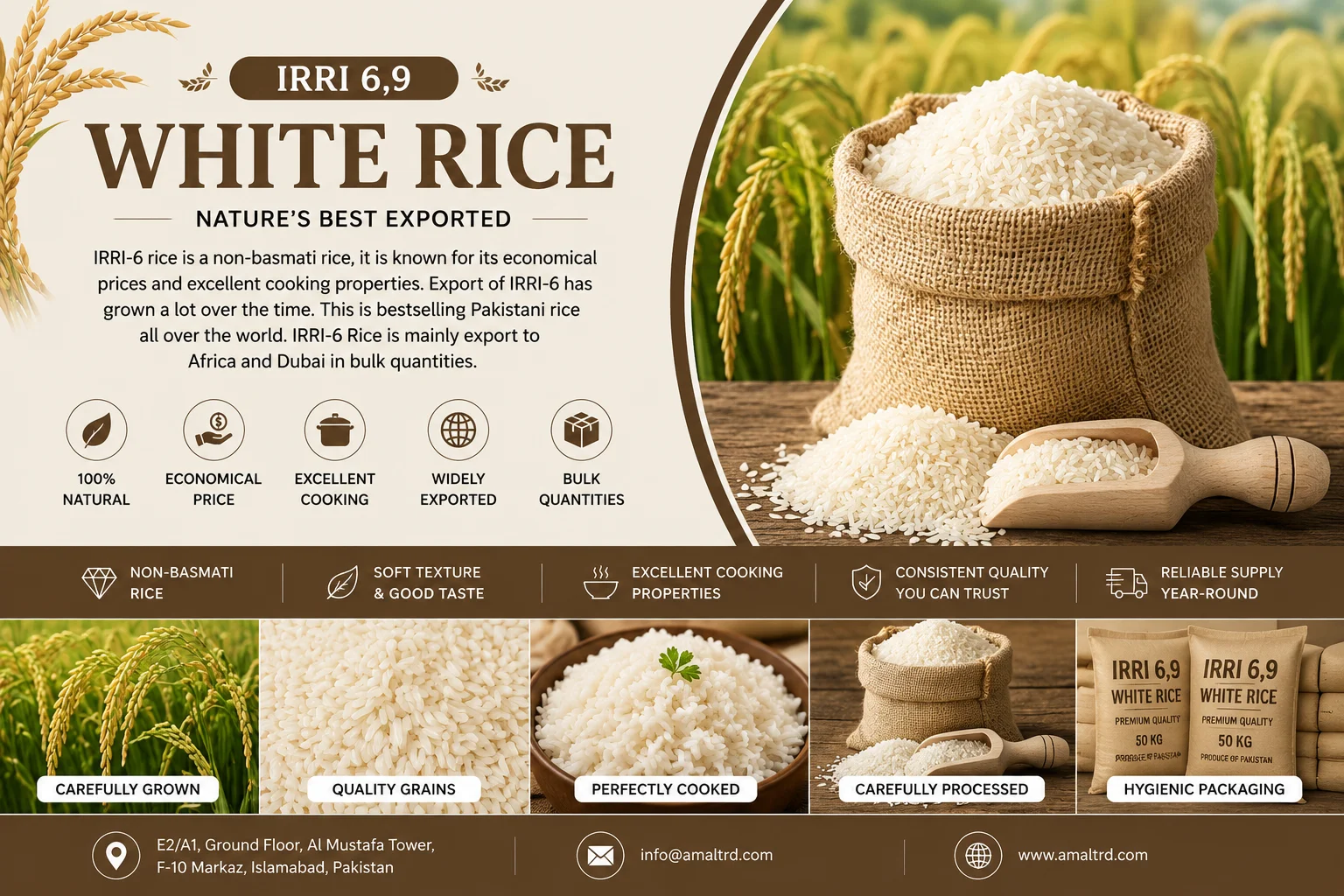 IRRI-6 and IRRI-9 non-Basmati white rice for bulk export from Pakistan